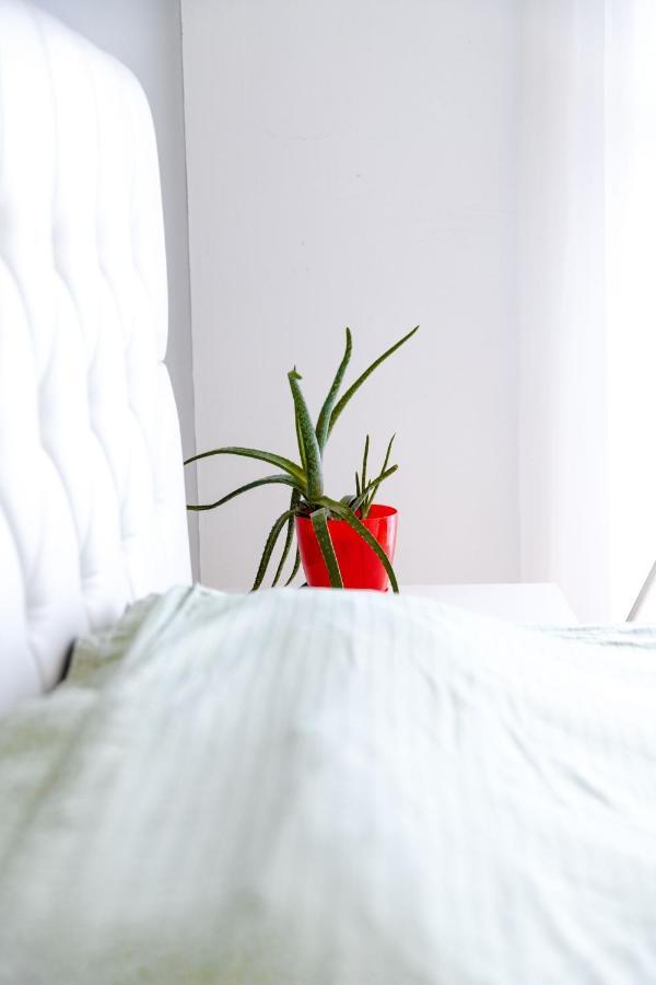 Modern Apartment With A View Feels Like Home Prishtinë Luaran gambar